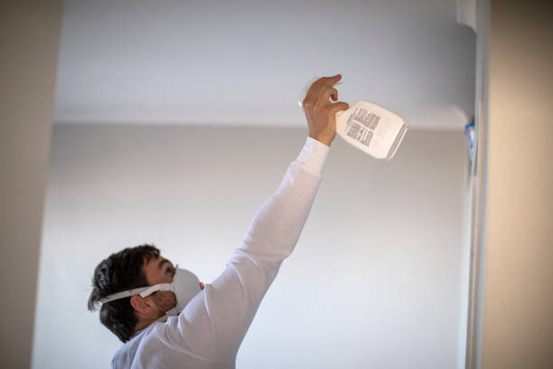 Best Certified Mold Removal  in Mondovi, WI