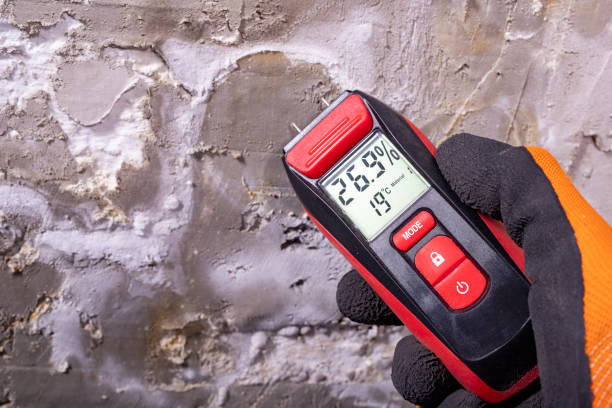Best Mold Removal Near Me  in Mondovi, WI